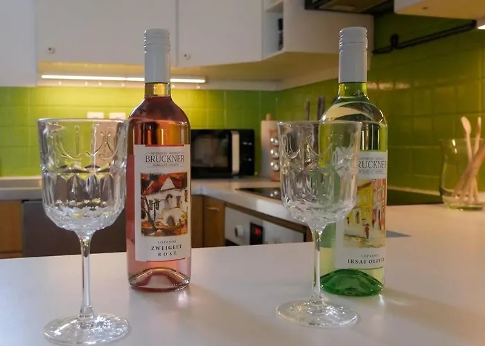 Rokavar Vendeghaz Ferienhaus